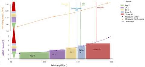 Abbildung Ergebnis der Lesitungsdiagnostik
