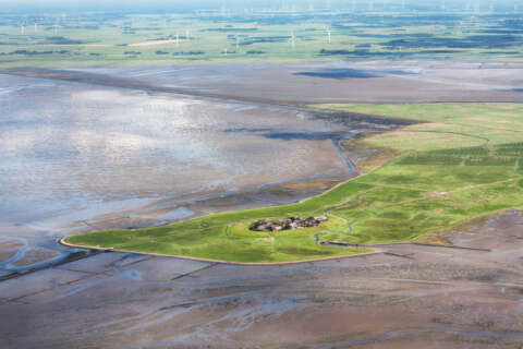 Sommerurlaub Norddeutschland: Luftbild auf Hallig Oland