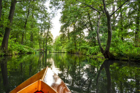 Sommerurlaub Ostdeutschland: Bootstour Spreewald