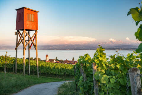 Sommerurlaub Süddeutschland: Hagnau am Bodensee
