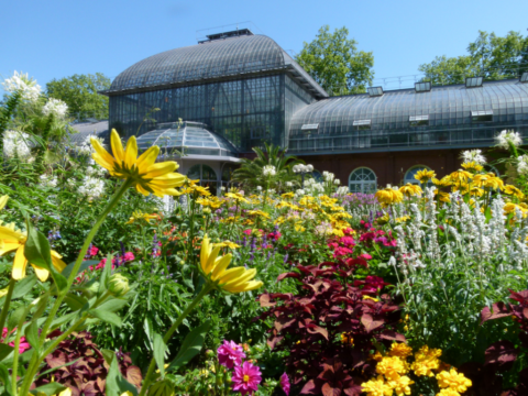 Palmengarten - Blick auf Glashaus