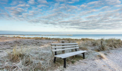 Foto: © haiderose, Adobe Stock