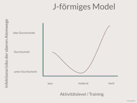 J - Förmiges Model