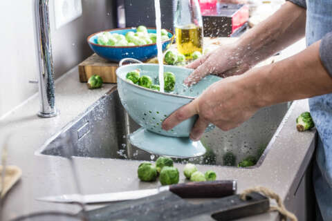 Rosenkohl: Frischer Rosenkohl wird in einem Durchschlag gewaschen