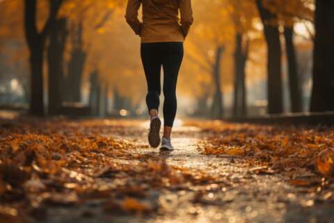 Healthy Herbst: Joggerin läuft durch Laub.